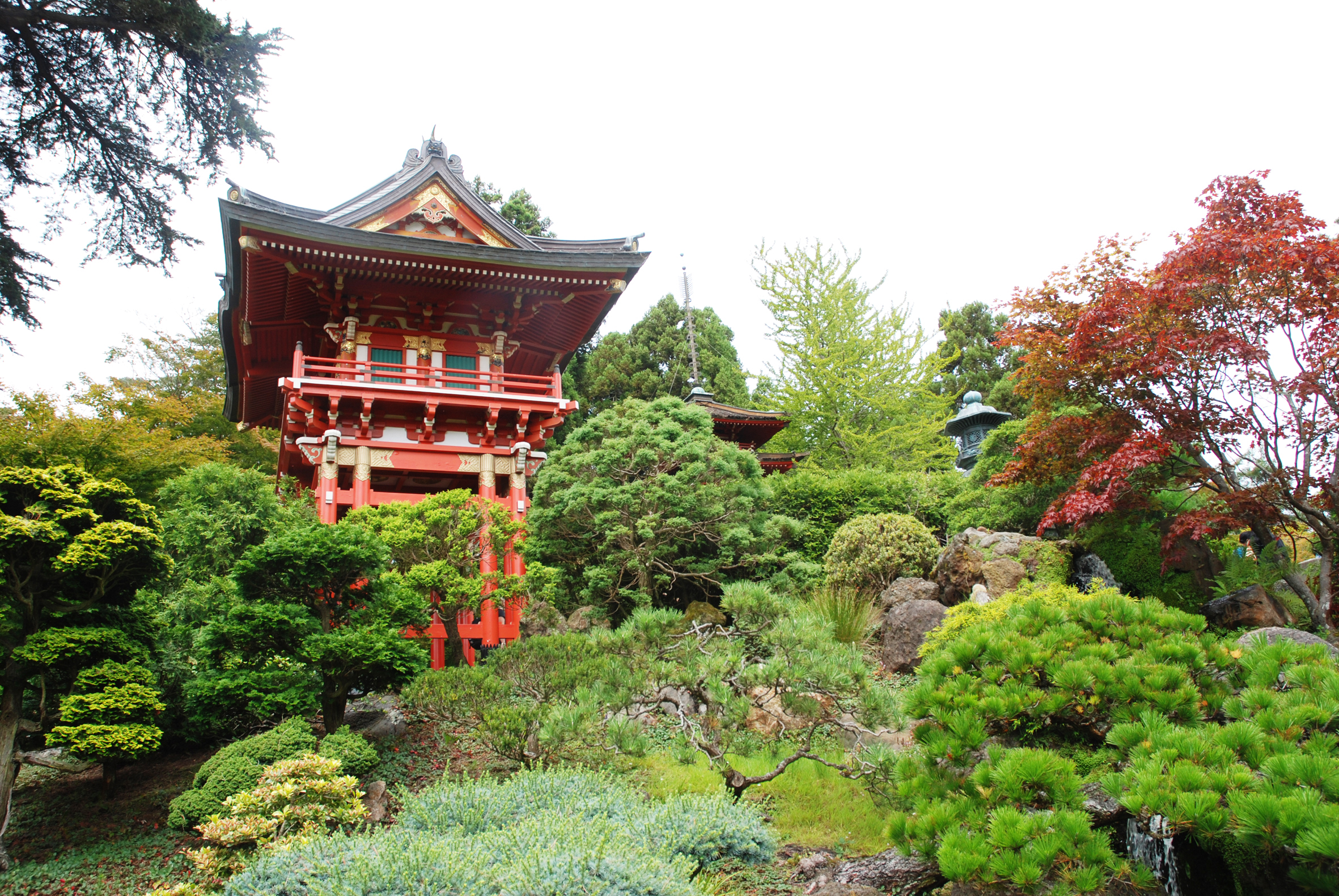 Japanese Tea Garden - San Francisco - California