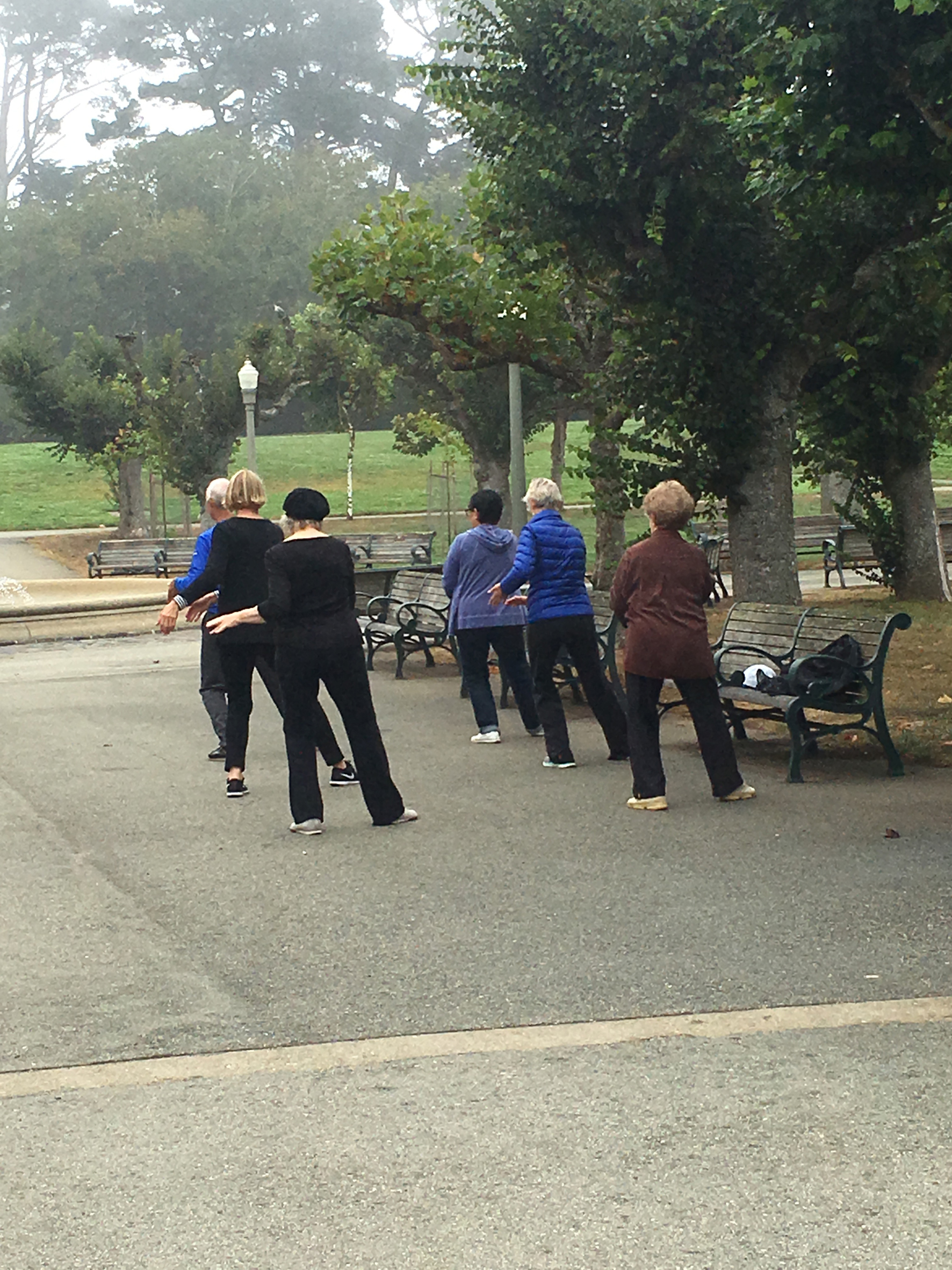 Tai chi - Golden Gate Park - San Francisco - California