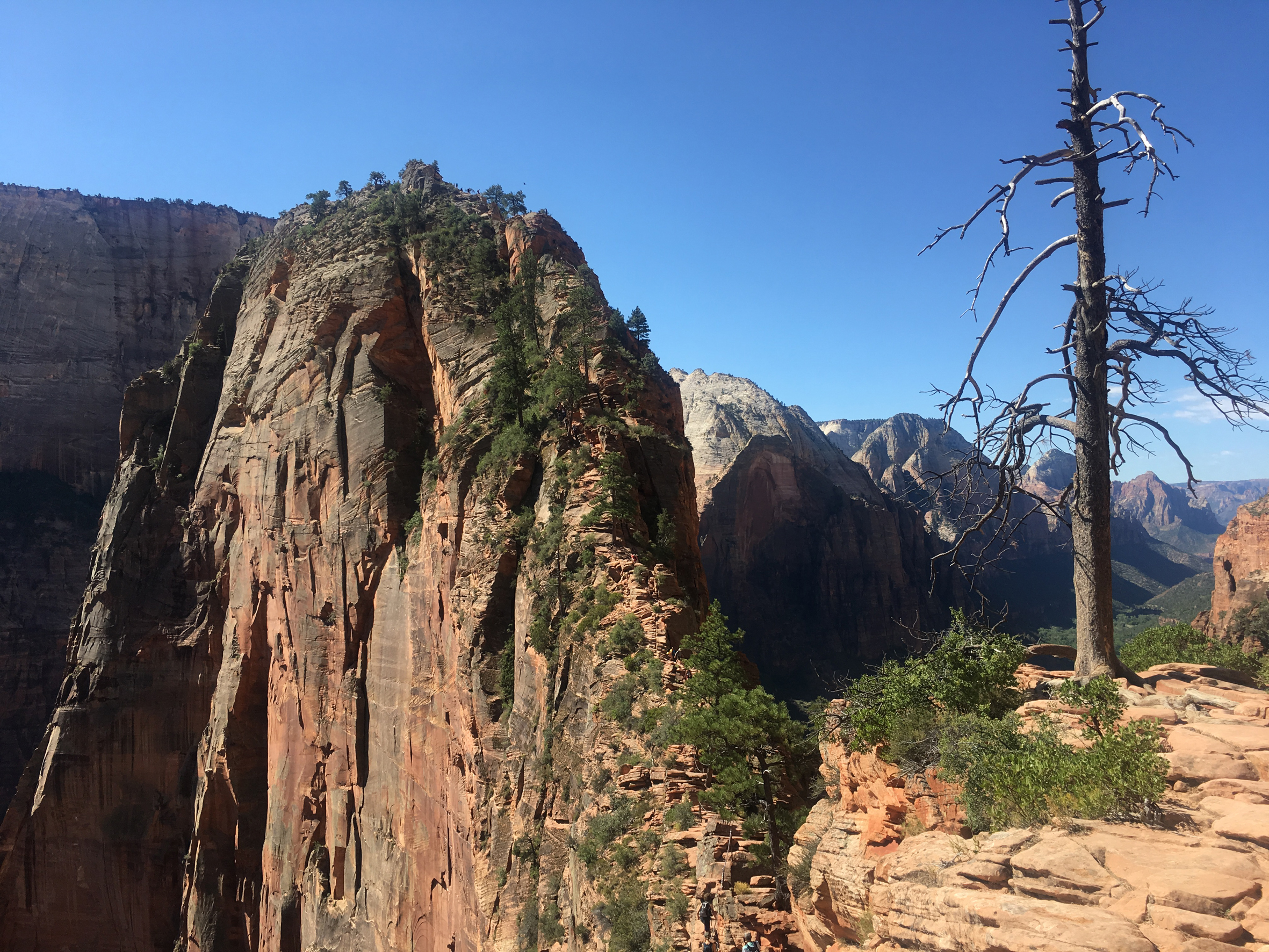 Ultimo tratto attrezzato dell'Angel's Landing Trail - Zion - Utah