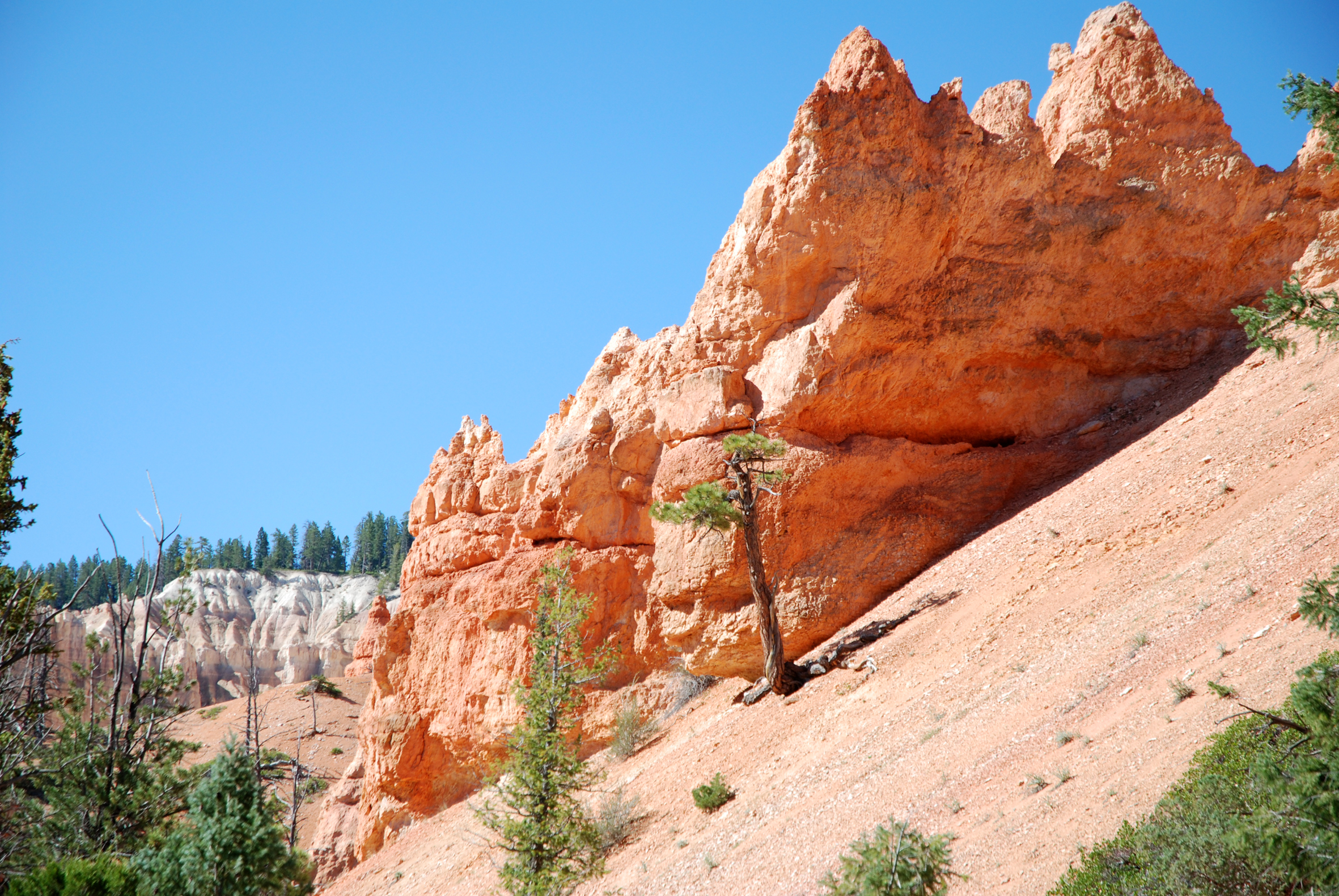 Bryce Canyon - Utah