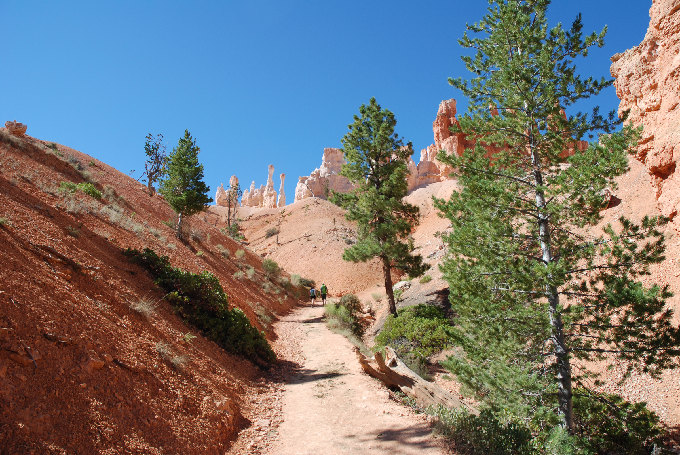 Bryce Canyon - Utah
