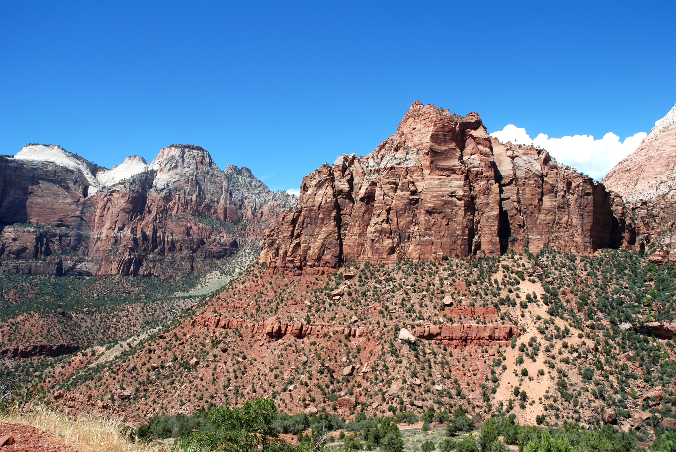 rocce rosse a Zion lungo la UT9 - Utah